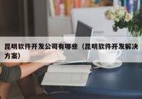 昆明软件开发公司有哪些（昆明软件开发解决方案）