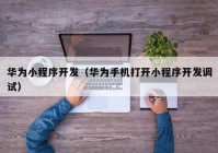 华为小程序开发（华为手机打开小程序开发调试）