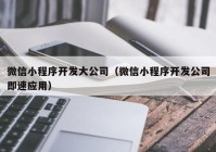 微信小程序开发大公司（微信小程序开发公司即速应用）