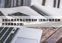 沈阳小程序开发公司哪家好（沈阳小程序定制开发需要多少钱）