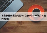 山东软件开发公司招聘（山东软件开发公司招聘电话）